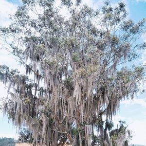 Meet your Posher, Carlos alberto